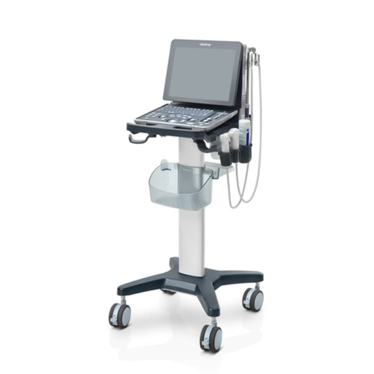 Mindray DP-60 portables Ultraschallsystem Gesamtansicht